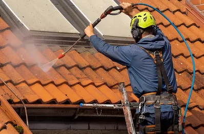 Démoussage et hydrofuge de toiture à Boisset